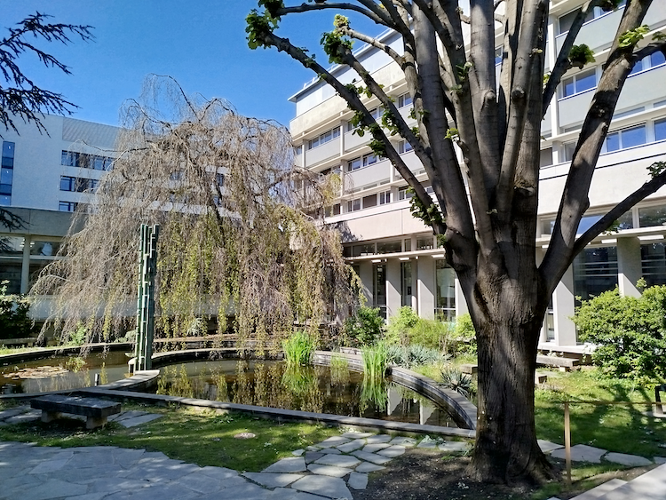 Bibliothèque de mathématique vue du patio